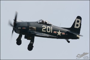 D71_7379