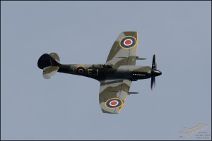D71_7641