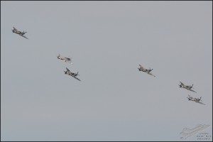 D71_7647