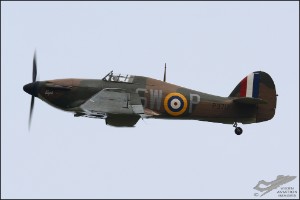 D71_7776