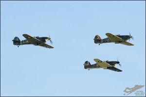 D7T_5201