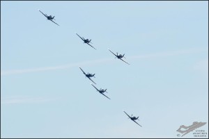 D7T_5209