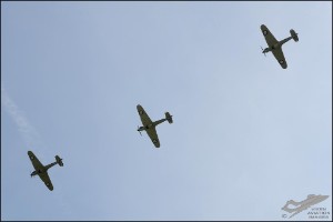 D7T_5212