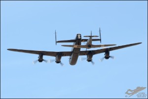 D7T_5233