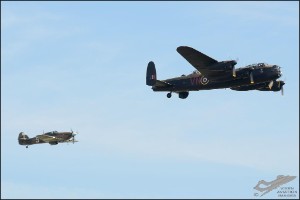 D7T_5238