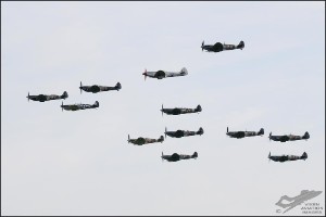 D7T_5273