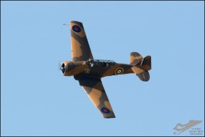 D71_6629