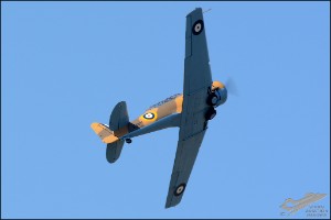 D71_6653
