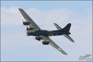 D71_6865