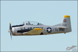 D7T_4955