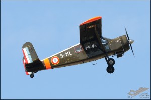 D7T_5023