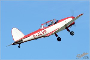 D7T_5041