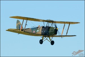 D7T_5046