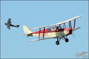 D7T_5052