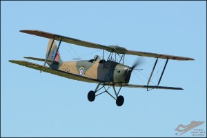 D7T_5059