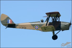 D7T_5063