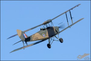 D7T_5065