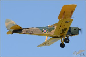 D7T_5076