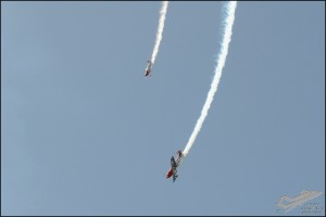 D7T_5087