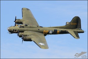 D7T_5155