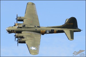 D7T_5158