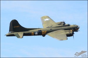 D7T_5173