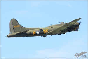 D7T_5177