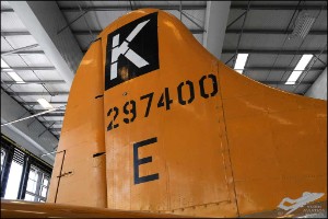 AKS_6276a