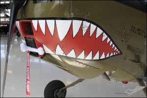 AKS_6289a