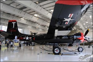 AKS_6307a