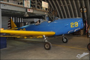 AKS_4361a