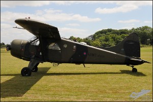 AKS_6394a