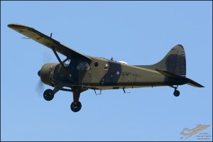 D71_3779a
