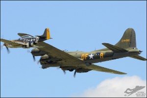 D7T_2582s