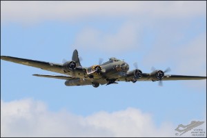 D7T_2595a