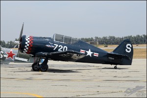 D7T_1374a