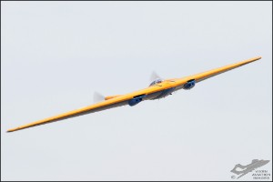 D7T_1438a