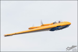 D7T_1442a