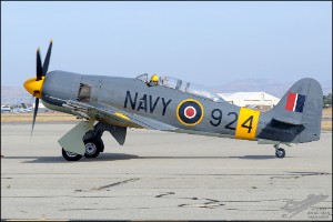 D7T_1593a