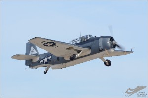 D7T_1642a