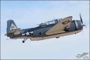 D7T_1647a