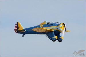 D7T_1681a