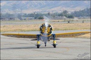 D7T_1686a