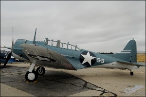 AKS_6034a