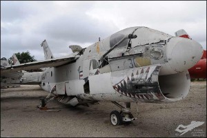 AKS_6135a