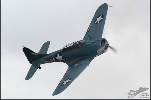D71_1733a