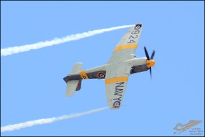 D71_2833a