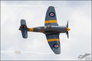 D71_2901a