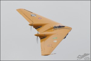 D7T_1785a