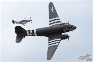 D7T_1828a